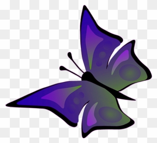 Flying Butterfly Clipart, Drawing Of Flying Butterfly - Butterfly Flying Drawings With Color - Png Download