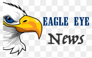 Bald Eagle Clipart Eagle Eye - Bald Eagle Head Cartoon - Png Download