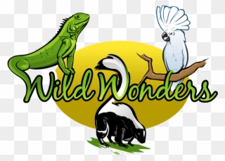 Logo - Wild Wonders Animal Show Clipart