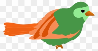 Green Colored Bird Drawing - Bird Clip Art Colored - Png Download