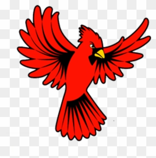 Cardinal - Cardinal Wings Open Clipart - Png Download