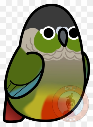 Too Many Birds Cheeked By Maddemichael On - Green Cheek Conure Clip Art - Png Download