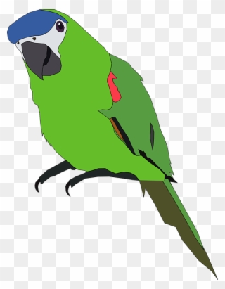 Parrot Clipart Lovebird - Green Parrot Clip Art - Png Download