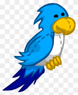 Parrot Clipart Blue Parrot - Captain Rockhopper Club Penguin - Png Download