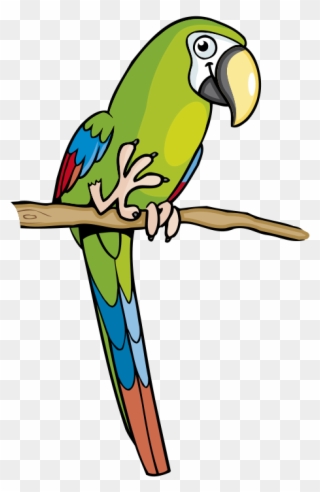 Parrot Clipart Amazon Parrot - El Loro Verde Dibujo - Png Download