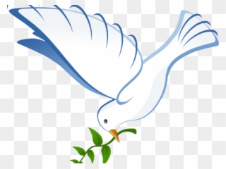 White Dove Clipart In Flight - White Dove - Png Download