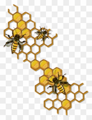 Tubes Printemps - Bee Honey Comb Clip Art - Png Download