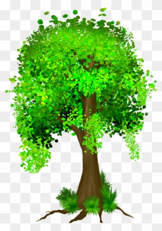 Tree Houses, Trees To Plant, Fairy Gardens, Tree Of - Full Money Tree Clipart - Png Download