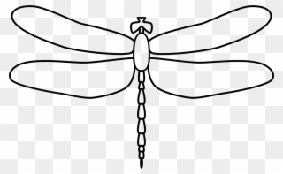 Clip Art Transparent Collection Of Free Dragonfly Svg Icon Png Download Full Size Clipart 481283 Pinclipart