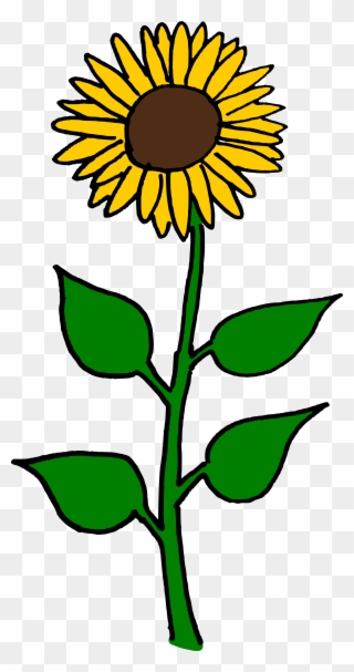 Flower Clipart Sunflower - Sun Flowers Clip Art - Png Download