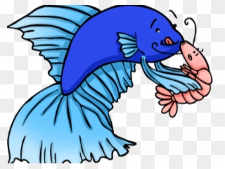 Betta Fish Eating Shrimp Clipart