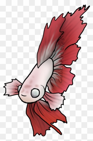 Clipart Transparent Download Betta Drawing Feather - Drawing - Png Download