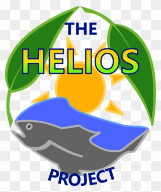 Graphic Transparent Library School Profile The Helios - Helios Project Clipart