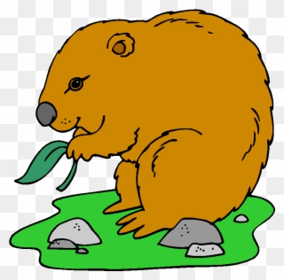 Wombat Eating Clipart - Png Download