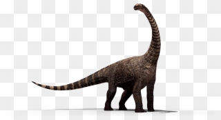 Dinosaur Png Images - Dinossauro Png Png Clipart