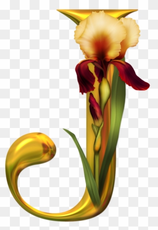 Initials - J Images With Flower Clipart