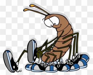 Centipede - - Cartoon Centipede Wearing Shoes Clipart