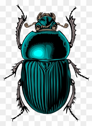 Free Scarabe - Scarab Beetle Drawing Clipart