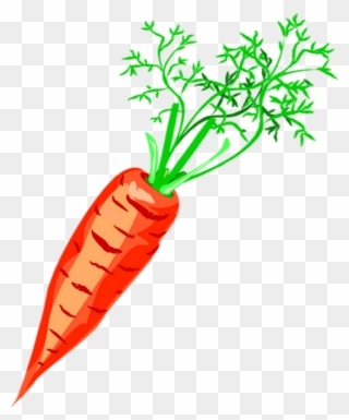 Carrot Drawing Png - Скачать Картинку Морковь Clipart