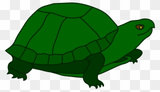 Turtle New Hands - Tortoise Clipart