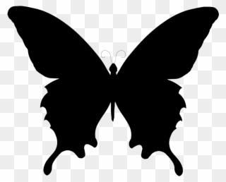 Butterfly Clipart Black And White - Silhouette Butterfly Vector Png Transparent Png
