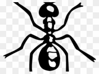Drawn Ant Simple Clipart