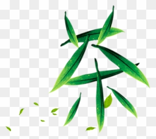 Green Leaf Art Tea Font Design - 茶 素材 Clipart