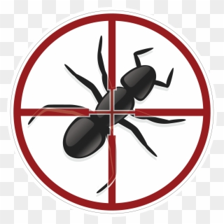 Universal Pest & Termite - Ant Clip Art - Png Download