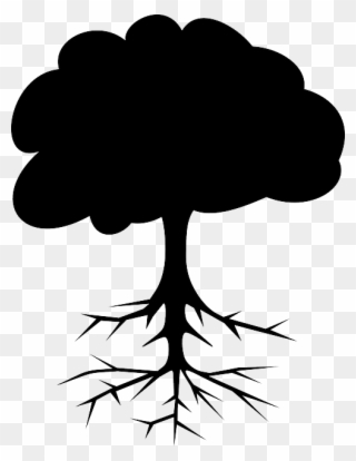 Part Of Tree Name Clipart
