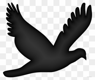 Flying Dove Animal Free Black White Clipart Images - Flying Bird Png Vector Transparent Png