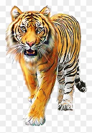Cartoon Tiger, Background Images For Editing, Picsart - Animals Png Images Download Clipart