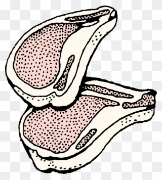 Chuleta De Cerdo Dibujo Clipart