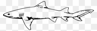 Whale Black And White Swimming - Shark Clipart Black And White - Png Download