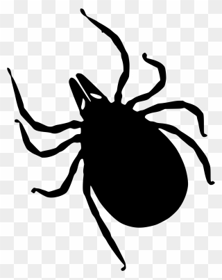 Living With Chronic Lyme Disease - Tick Silhouette Clipart