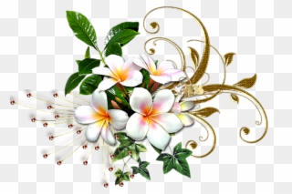#mq #white #gold #flowers #flower #garden - Rosa Glauca Clipart