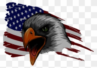 Chester - American Flag White Eagle Clipart