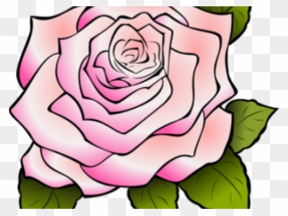Pink Rose Clipart Pink Cartoon - Rose Outline Transparent Background - Png Download