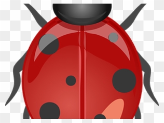 Lady Beetle Clipart Garden Creature - صورة الدعسوقة - Png Download