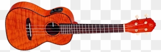Ortega Ru5mm So Clipart