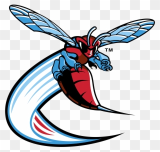 Delaware State Hornets Logo Png Transparent - Delaware State Hornets Logo Clipart