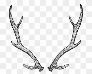 Antlers By Tea Leigh - Deer Horns Tattoo Clipart