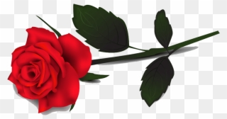 Rose Clipart, Clipart Rose , Red Rose Transparent Background - Rose Clip Art Transparent Background - Png Download