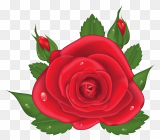 Red Rose Png, Red Roses, Love Rose, Clip Art, Plants, - Flores Vermelha Em Png Transparent Png