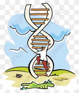 Scientific Experiments Dna Ladder - Dna Ladder Drawing Clipart