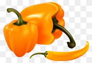 Bell Banana Clip Art Persimmon Vector - Realistic Bell Pepper Drawing - Png Download