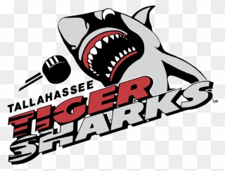 Tallahassee Tiger Sharks Logo Png Transparent - Tallahassee Tiger Sharks Clipart
