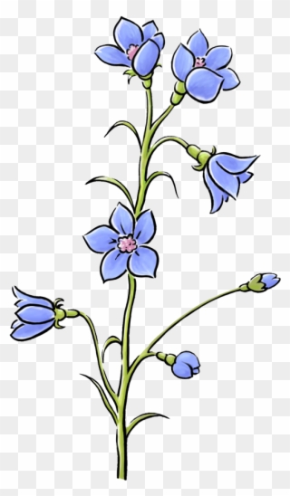 Great Und Noch Ein Tipp Flache Blumen Wie Veilchen - Blüten Clipart Transparent - Png Download