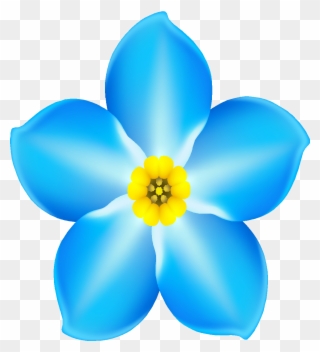 Forget Me Not Cafe Clip Art - Forget Me Not Dementia - Png Download