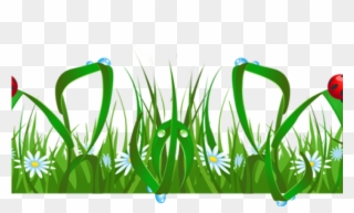Grass Border Cliparts - Summer Background - Png Download