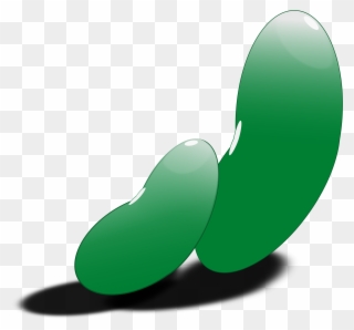 Microsoft Clipart String Bean - Green Clipart Lima Bean - Png Download